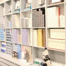 렌즈앤글라시즈(LENS&GLASSES) 이미지