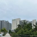 지에스25거제다숲점 | 거제 벨버디어 숙소 후기/오션뷰 객실부터 체크인까지 가족여행 추천