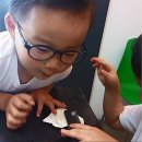 1.0안경콘택트 이미지