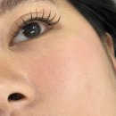 시즌뷰티 | 안산 상록수 눈매가 또렷해지는 마스카라 속눈썹 연장 후기 시즌뷰티