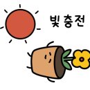 햇빛호프