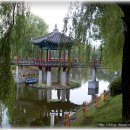 능수버들공원 이미지