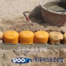 도둔초등학교 이미지