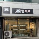 골든햄스터분양 햄츠비 이미지