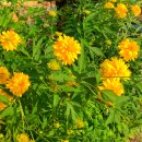 고령낚시 이미지