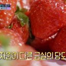 금실농장 이미지