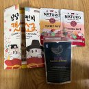 펀치캣 | 2025 냥냥펀치캣쇼 마곡 방문후기/ 이벤트와 꿀팁 캣페어 200% 즐기기