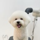 그루밍 모먼트 이미지