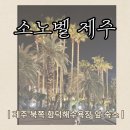 대명리조트 제주 신관동 휴양콘도미니엄 | 제주 북쪽 숙소) 함덕해수욕장 바로 앞 &lt;소노벨 제주&gt;/ 패밀리형 클린룸 후기