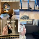 로얄세탁 | 일산차병원 마티네 차움 조리원 이용후기 l 로얄스위트, 디럭스 차이