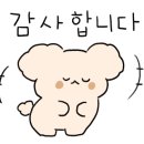 호룡태권도 이미지