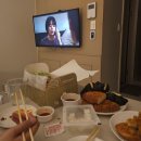 옳은치킨 | 도시, 밀가루의 도시, 성심당의 도시!! 1박2일 대전여행(1일차) + 아자자야채치킨,넷플릭스 기리고 후기