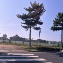 대천올레펜션 이미지