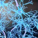 태림메디칼 | 가정용의료기 코로나오미크론 체험 후기