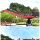 옛날쌈밥보리밥 이미지