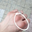 액티브 복싱클럽 이미지