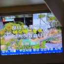 (유)삼일렌트카 봉산 | 🌄여수여수🌉