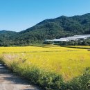 금수강산 이미지