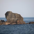 (주)그린크루즈 이미지