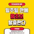 [왕초보 특강 :신혼 500만원에서 아파트3채 주인이 되기까지] 4/11(토) 11시 광주 금남로4가역 ＜TOZ광주충장로점＞ 이미지