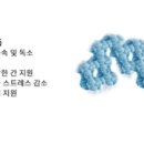 에이징생명과학 주식회사 이미지