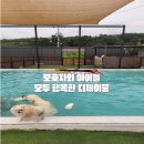 디제이 뭉 이미지