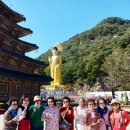 속리산 법주사 이미지