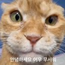 정신