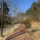 GR(합천군)-[가야산로]-하-2 | [경남] 합천 1박 2일 여행 : 합천영상테마파크, 머물당 글램핑 , 해인사