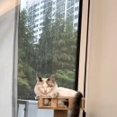 다옴헤어 이미지