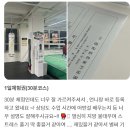 팀위너 복싱핏 이미지