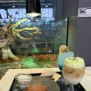 역삼1-136 | [강남 슬로우커피] 거북이가 있는 이색카페 강남 역삼 데이트 디저트 맛집 시그니처 음료 추천