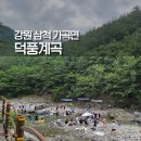 덕풍계곡솔밭야영장 | 강원도 삼척 덕풍계곡 2야영장 물놀이 후기