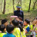 동내초병설유치원 이미지