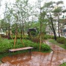 대전보운초등학교 이미지