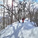 무룡고개 1쉼터 | 장수 장안산 최단코스 - 무룡고개 - 1전망대 - 2전망대 - 정상 - 원점회귀 - 블랙야크100대명산