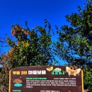 도원제주태양광 이미지