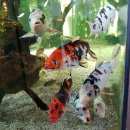 서울숲 곤충식물원 화장실 이미지