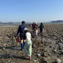 갯벌이야기 | 태안 도담오토캠핑장 갯벌체험 후기｜맛조개 캐는법 + 준비물 총정리 (아이와 캠핑)