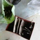 조양농원 이미지