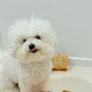 저단22 이미지