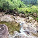 와운통나무산장가든 네이버블로그