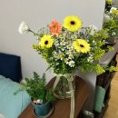 창신대학 | 잠깐만 지금이 제일 좋아