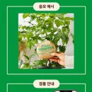 이벤트플랜트 이미지
