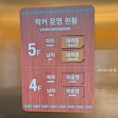 이오아쿠아 | 캐리비안베이 5월 로시즌 방문후기 준비물 주차장 꿀팁 셔틀버스