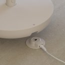 메이드독 이미지