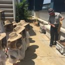 분당구청 이미지