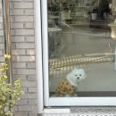 예나분식 | 11월 혈육의 결혼식