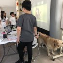 내곡연두 이미지