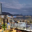 송도통큰조개 이미지